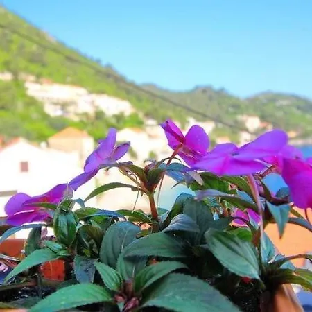 Apartament Mambo , Mljet - Duplex With Terrace And Sea View Sobra