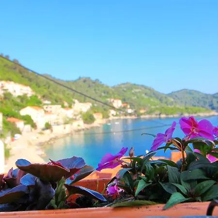 Mambo , Mljet - Duplex With Terrace And Sea View Apartament *